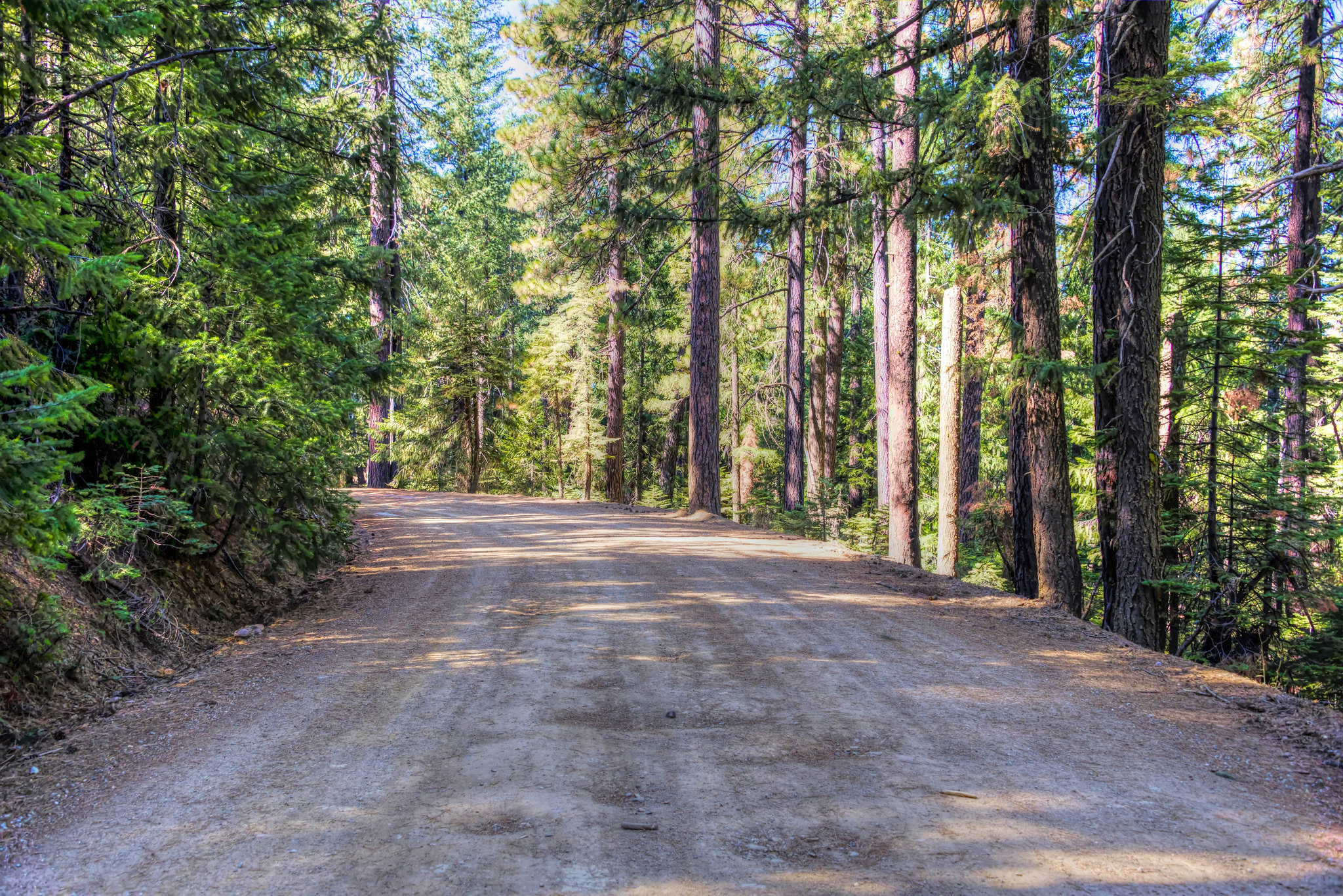 Pristine road